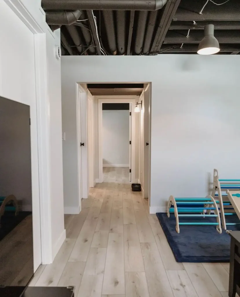1 Basement Ceiling