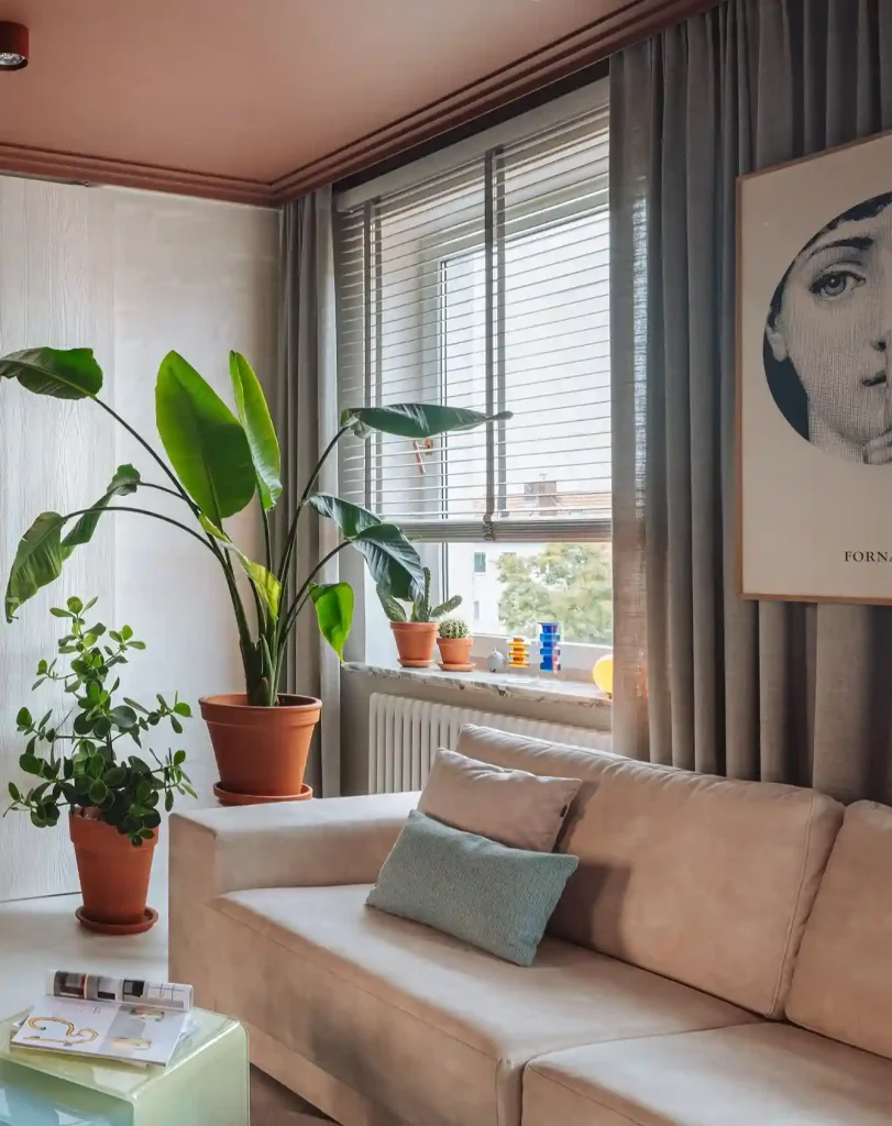 25 Add Plants Without Losing Floor Space