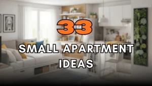 Small apartment Ideas