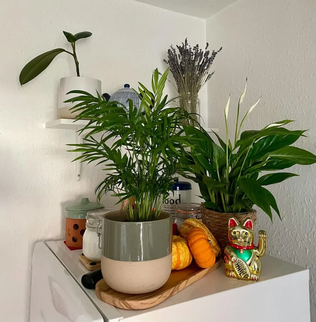 1. Create a Mini Plant Display With Trailing Greenery