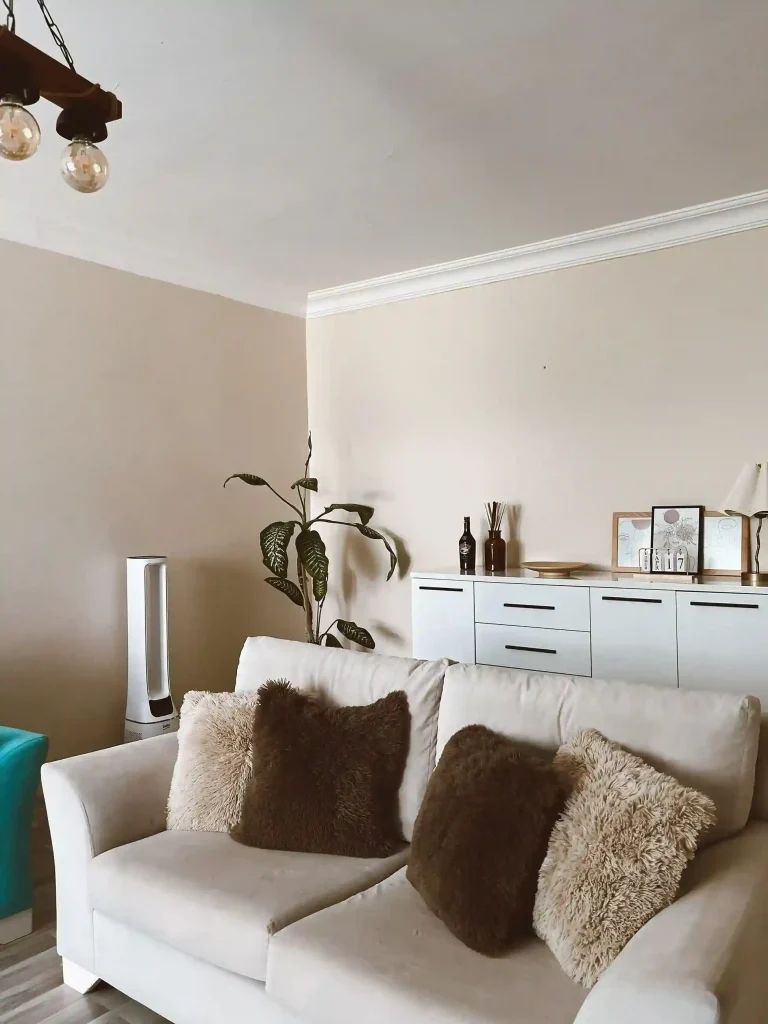 1 Brown and Cream Living Rooms