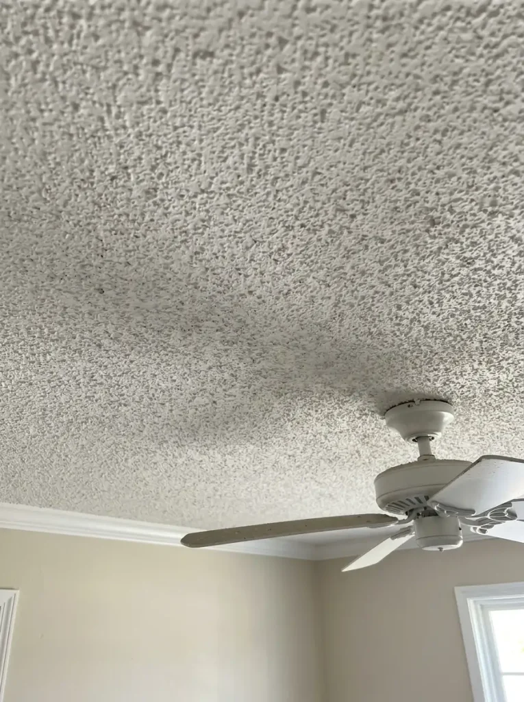 2 Popcorn Ceilings
