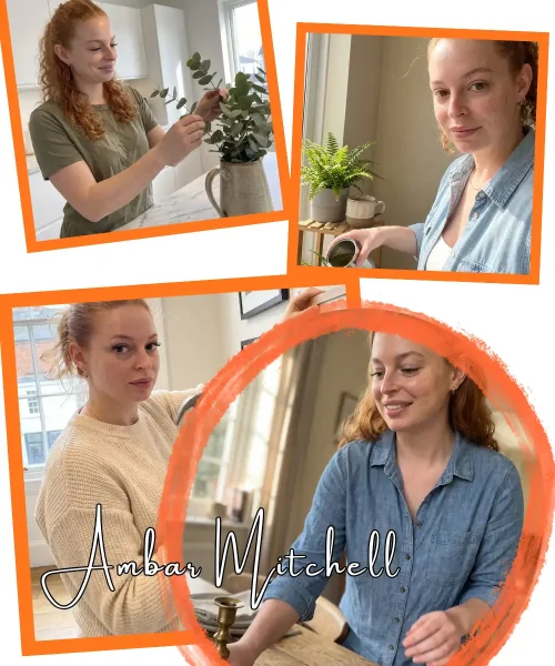 Ambar Mitchell home
